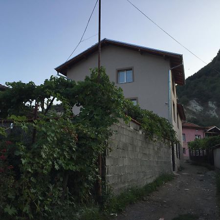 Elenite Guesthouse Ґоце-Делчев Екстер'єр фото